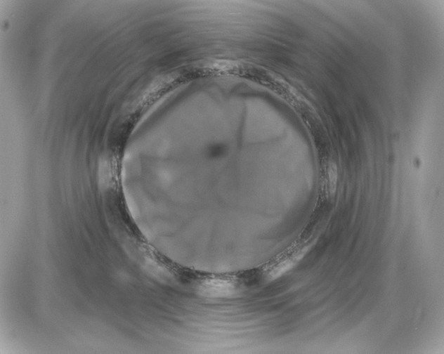 X0000087410236200705111859