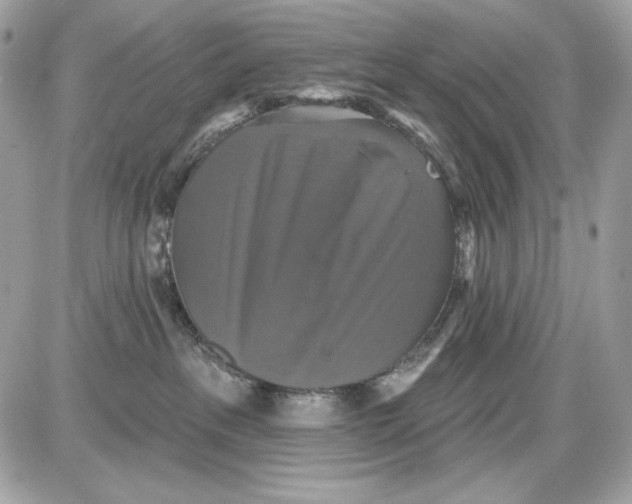 X0000087410237200705111859