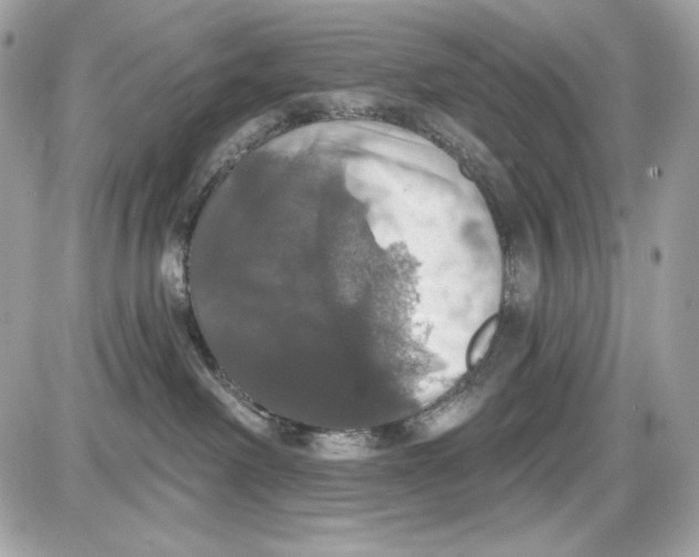 X0000087410238200705111859