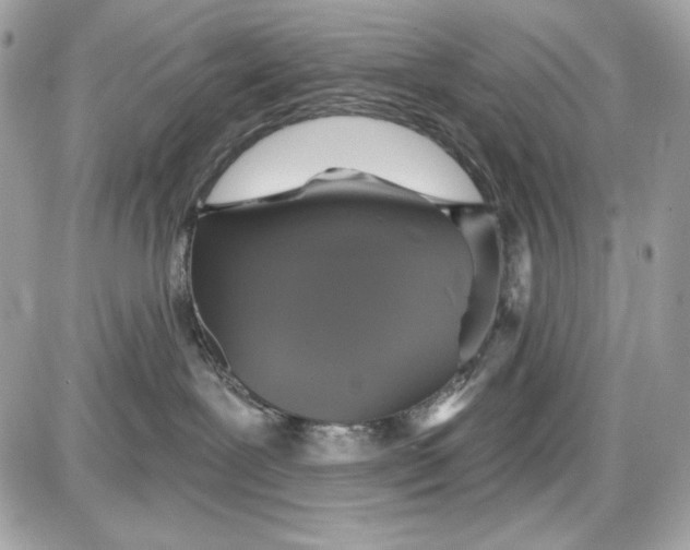 X0000087410239200705111859