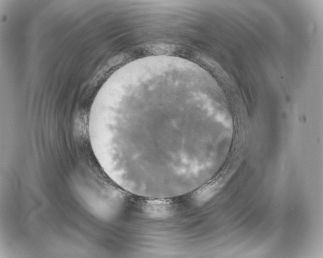 X0000087410240200705111859