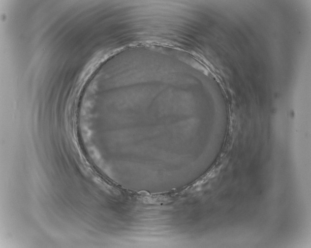 X0000087410241200705111858