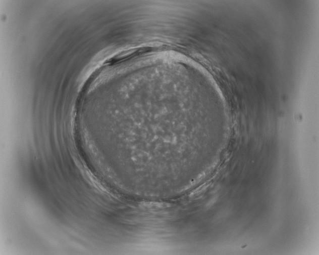 X0000087410242200705111858