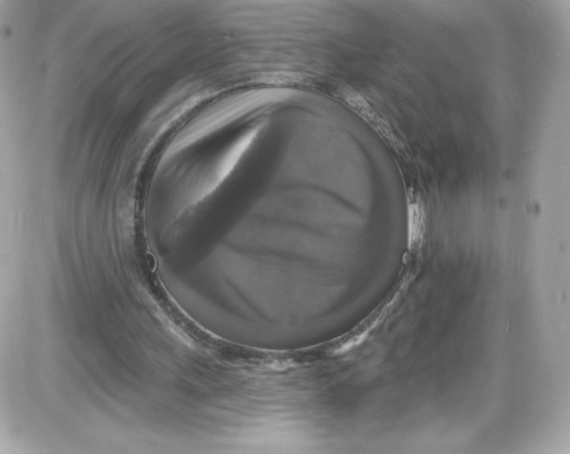 X0000087410243200705111858