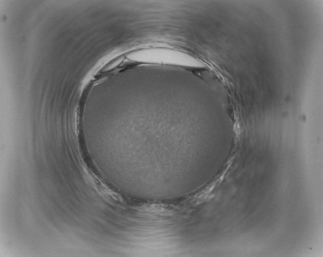 X0000087410244200705111858