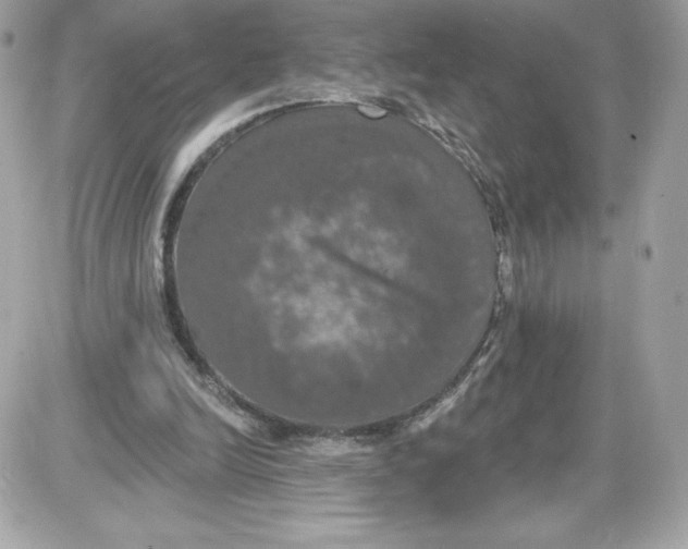 X0000087410246200705111858