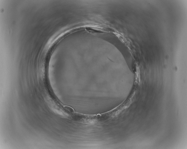 X0000087410247200705111858