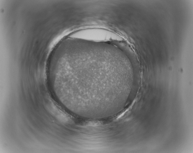 X0000087410248200705111858