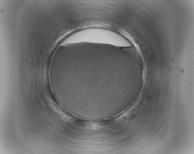 X0000087410249200705111858