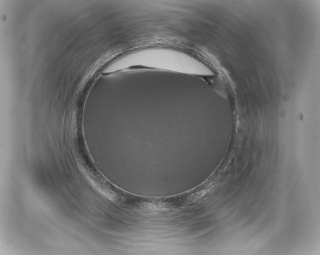 X0000087410250200705111858