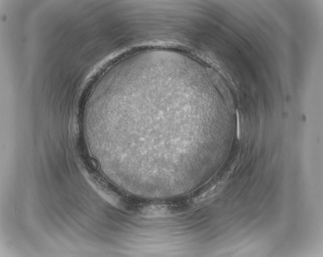 X0000087410252200705111858