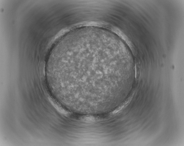 X0000087410253200705111858