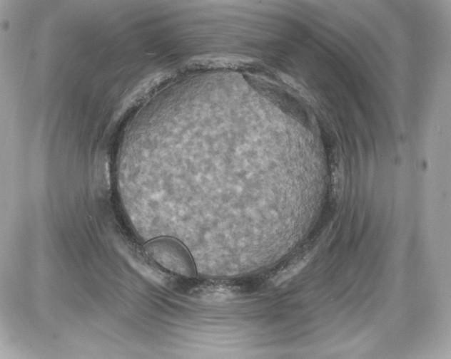 X0000087410254200705111858