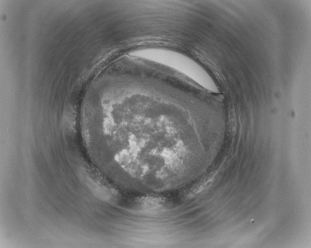 X0000087410255200705111858