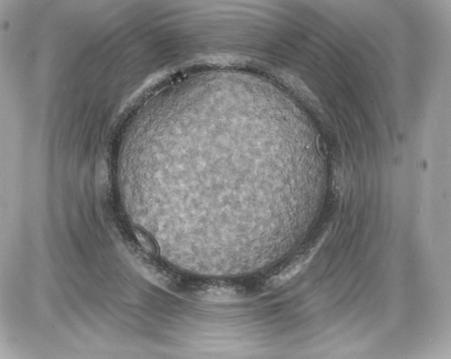 X0000087410256200705111858