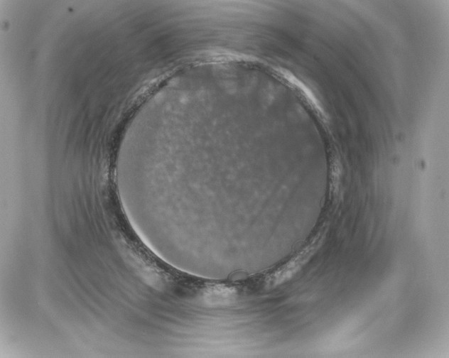 X0000087410257200705111858