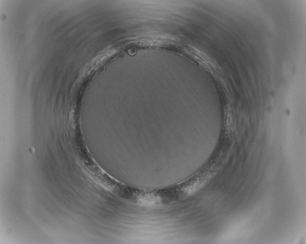 X0000087410258200705111858