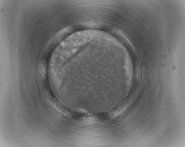 X0000087410259200705111858