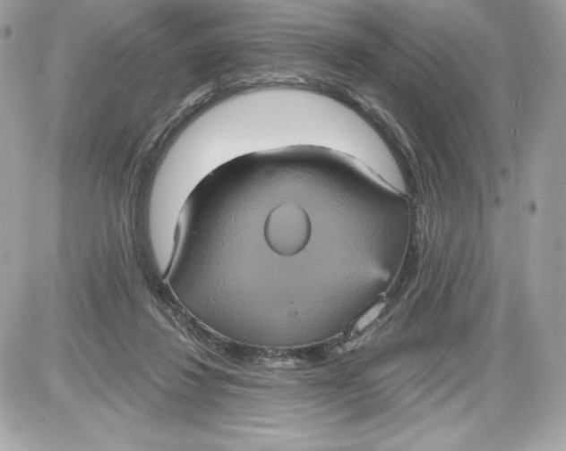 X0000087410260200705111858