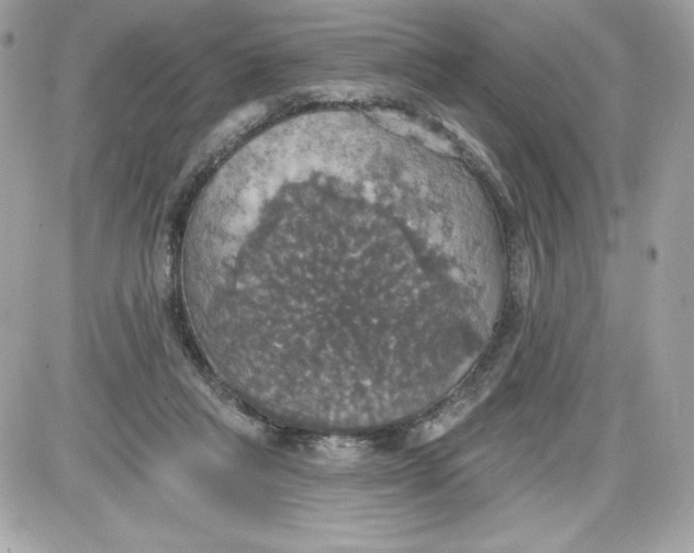 X0000087410261200705111858