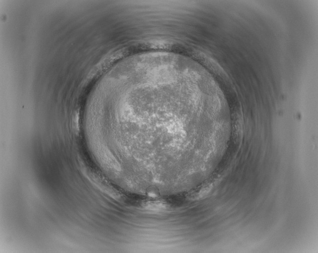 X0000087410262200705111858