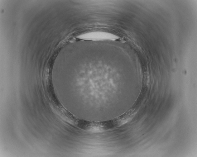 X0000087410263200705111858