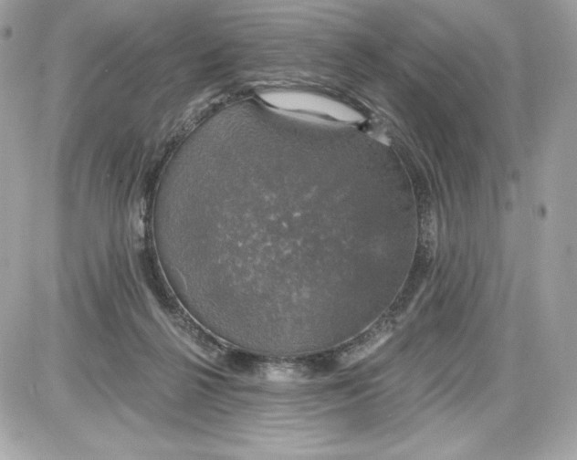 X0000087410264200705111858