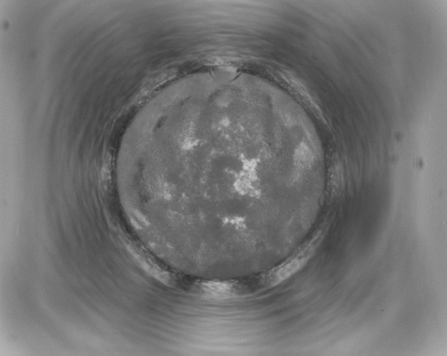 X0000087410265200705111858