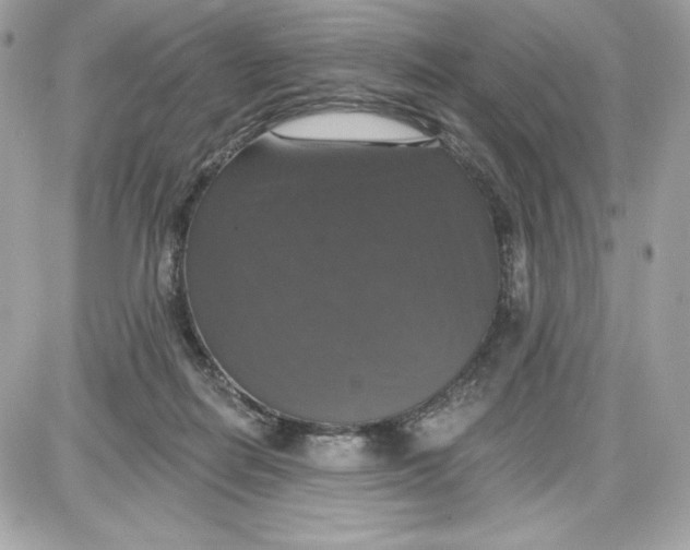 X0000087410266200705111858