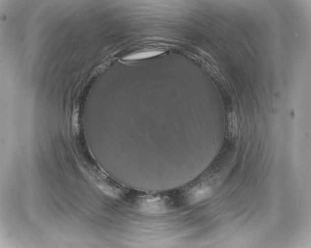 X0000087410267200705111858