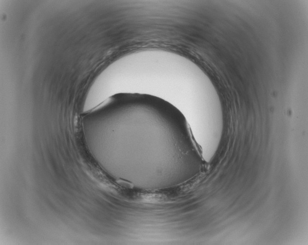 X0000087410268200705111859