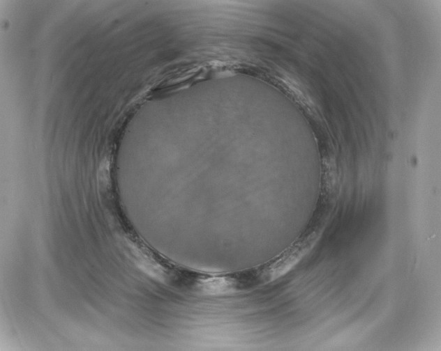 X0000087410269200705111859