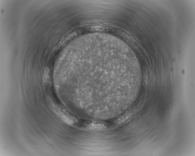 X0000087410270200705111859