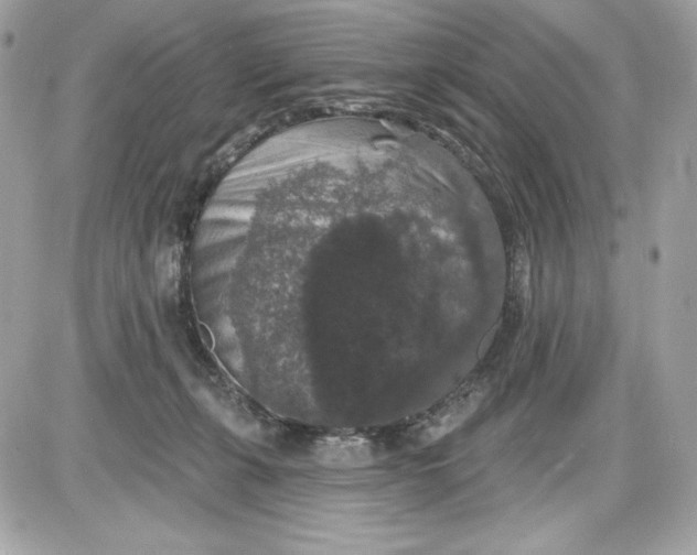 X0000087410271200705111859