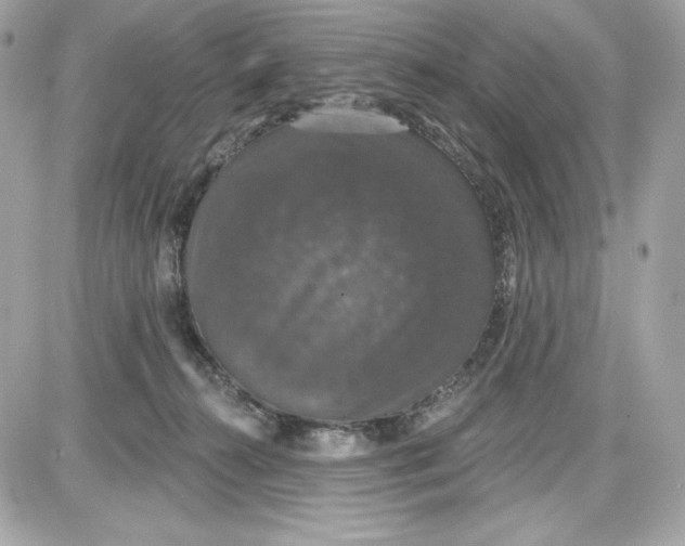 X0000087410272200705111859