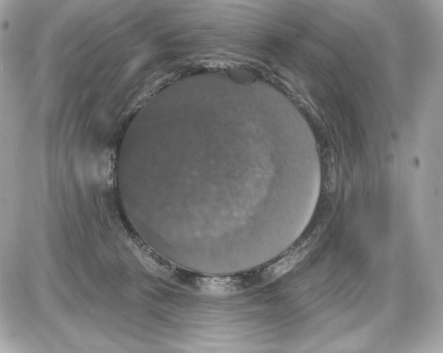 X0000087410273200705111859