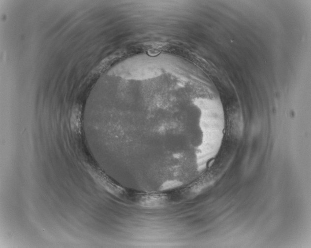 X0000087410274200705111859