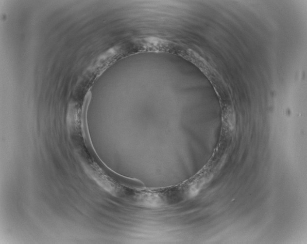 X0000087410276200705111859