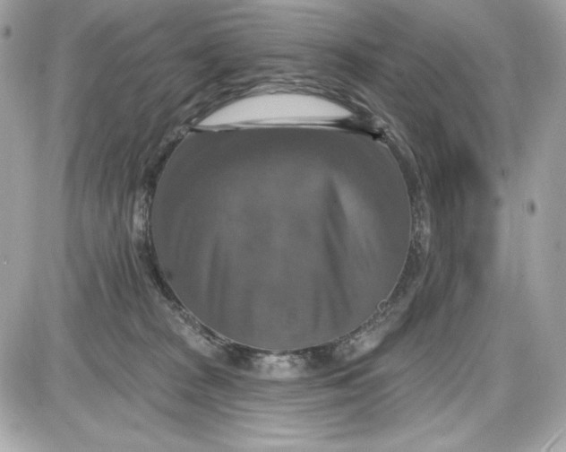 X0000087410277200705111859