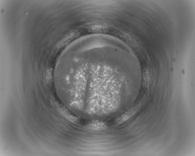 X0000087410278200705111859