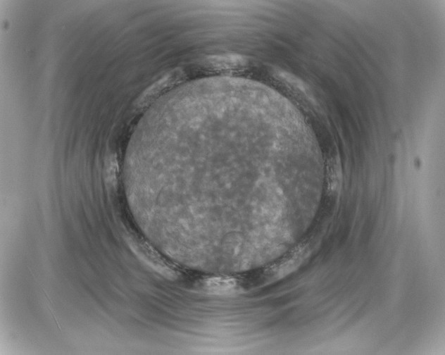 X0000087410279200705111859