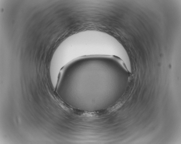 X0000087410280200705111859