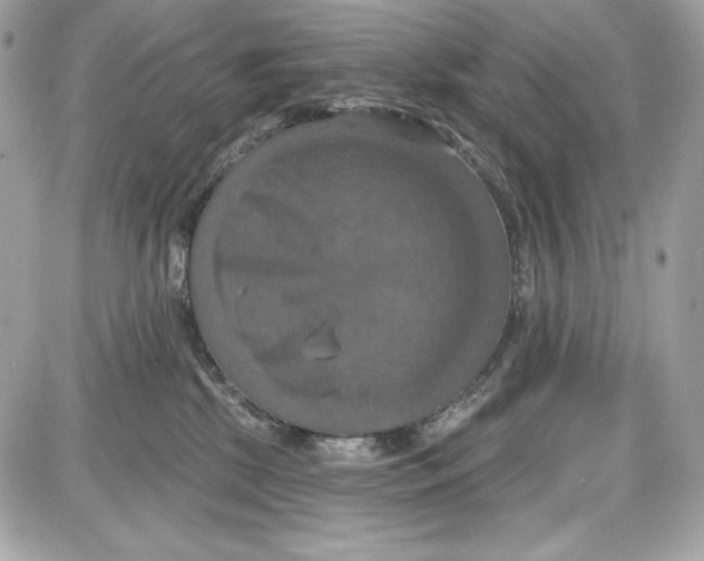 X0000087410281200705111859