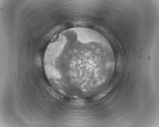 X0000087410282200705111859