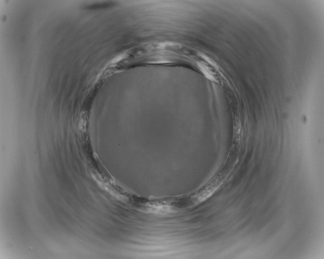 X0000087410284200705111859