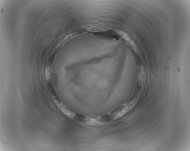 X0000087410285200705111859