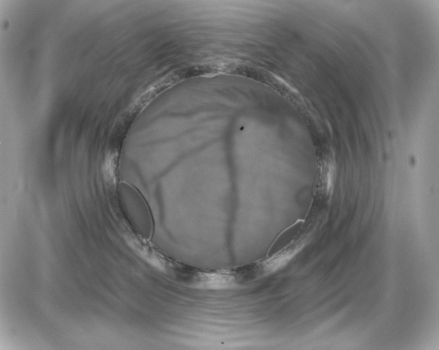 X0000087410286200705111859