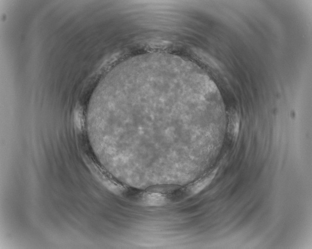 X0000087410287200705111859