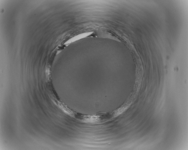 X0000087410288200705111859