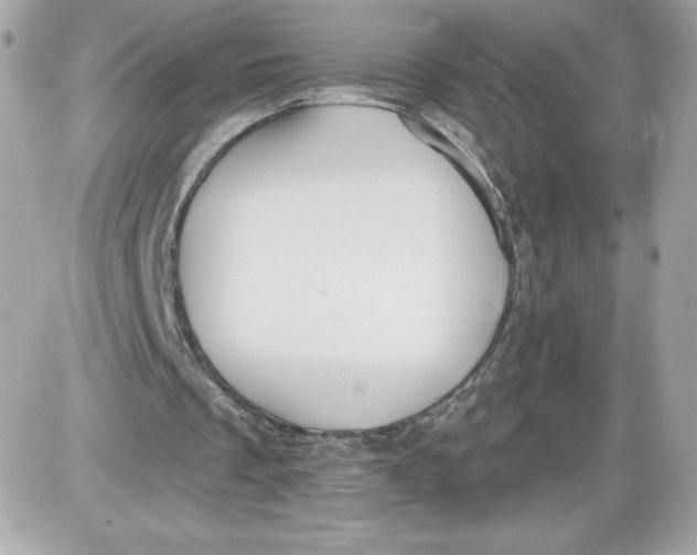 X0000087410289200705111858